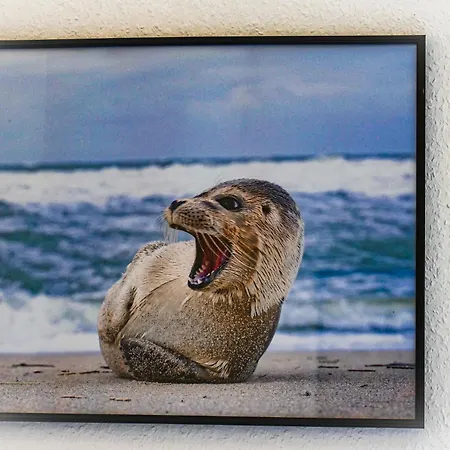 Strandhochhaus Sf08 *