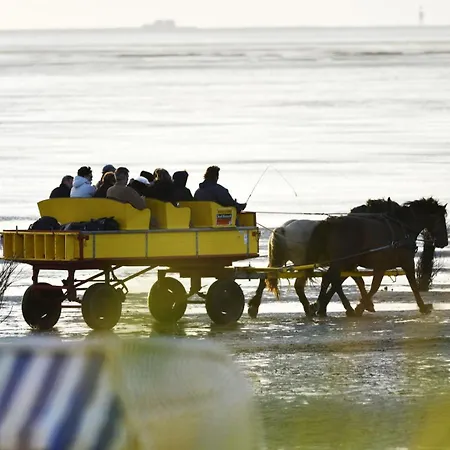 Strandhochhaus Sf08 Διαμέρισμα *