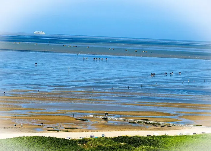 Strandhochhaus Sf08 קושהאבן