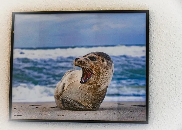 Strandhochhaus Sf08 *
